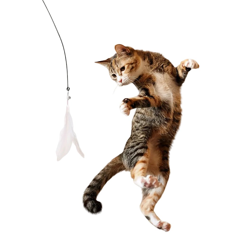 Canne à Pêche Interactive pour Chat – Plumes & Clochette avec Ventouse