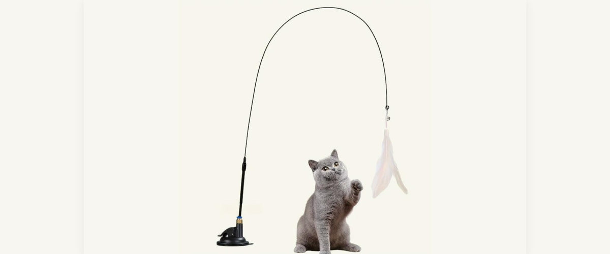 Bannière canne à pêche pour chat v2 - Le Chat Cachemire